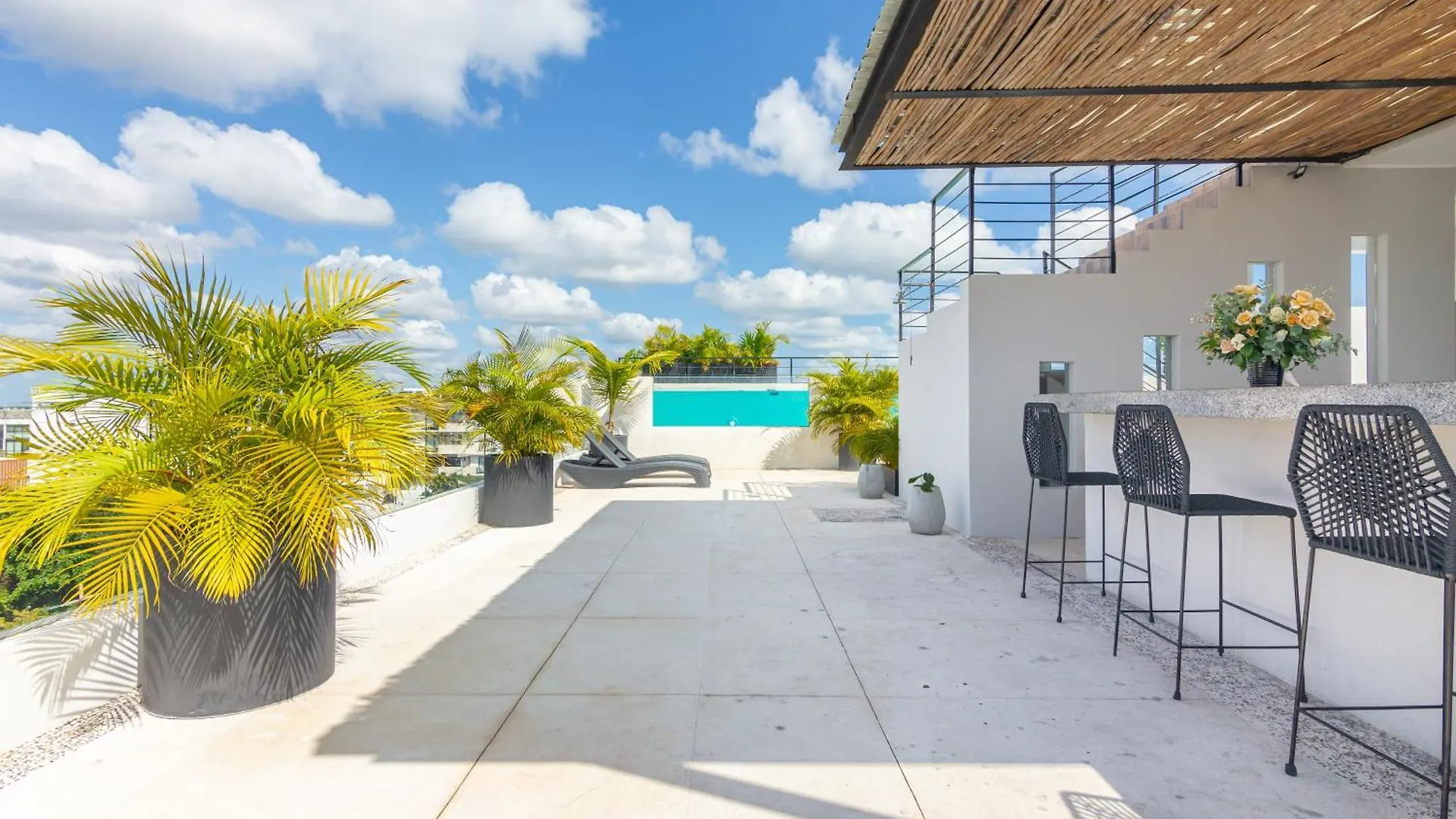 Toh House Luxury By Boutique Apartments Mx プレヤデルカーメン